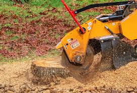 Best Weed Control  in Gustine, CA